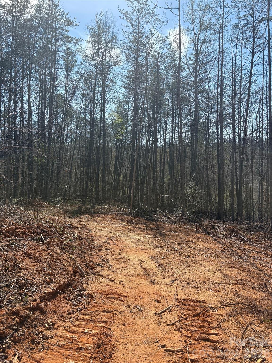 Tbd Avenida De Oro Road Morganton NC 28655