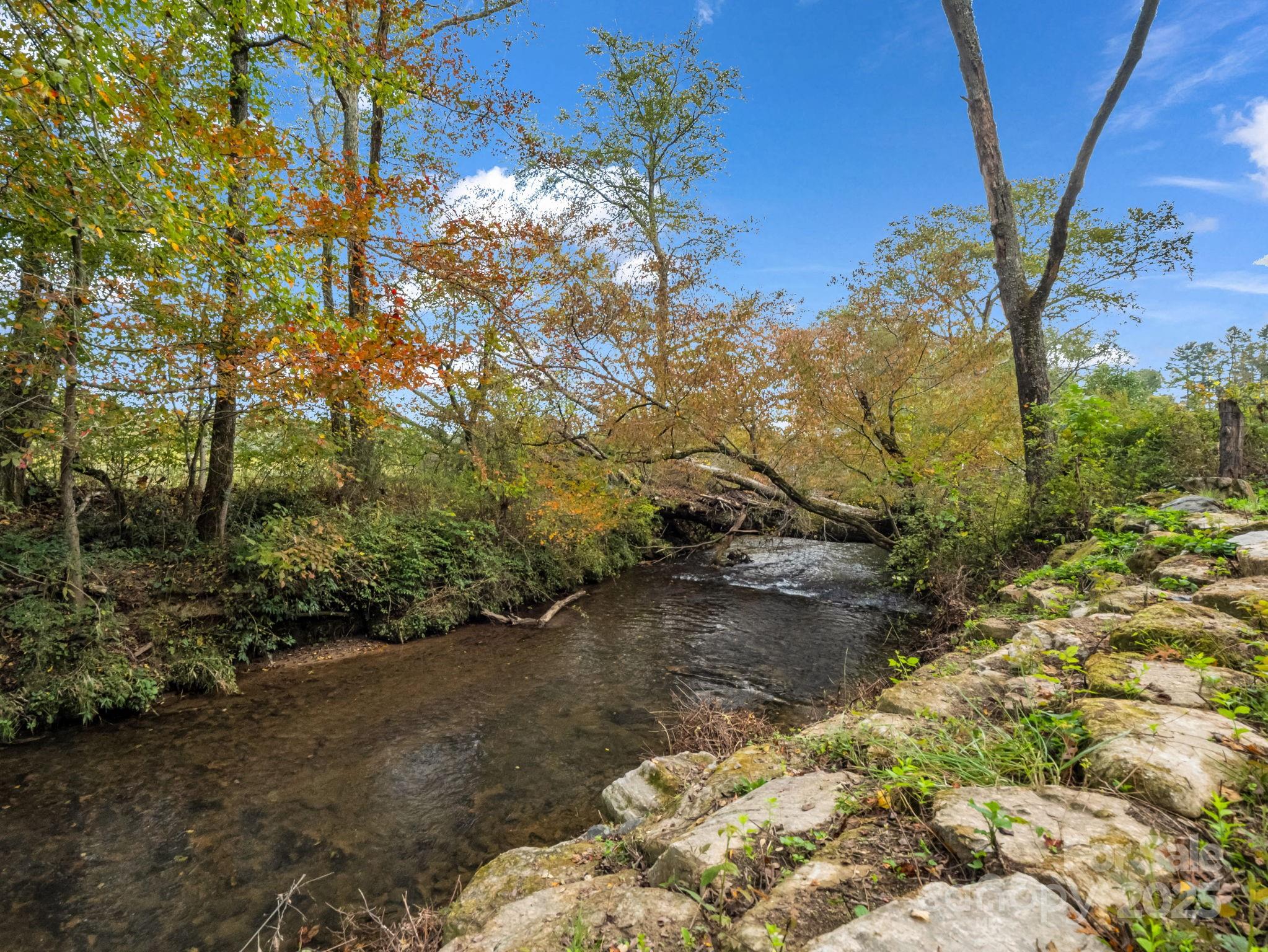 128 Cook Lane Mills River NC 28759