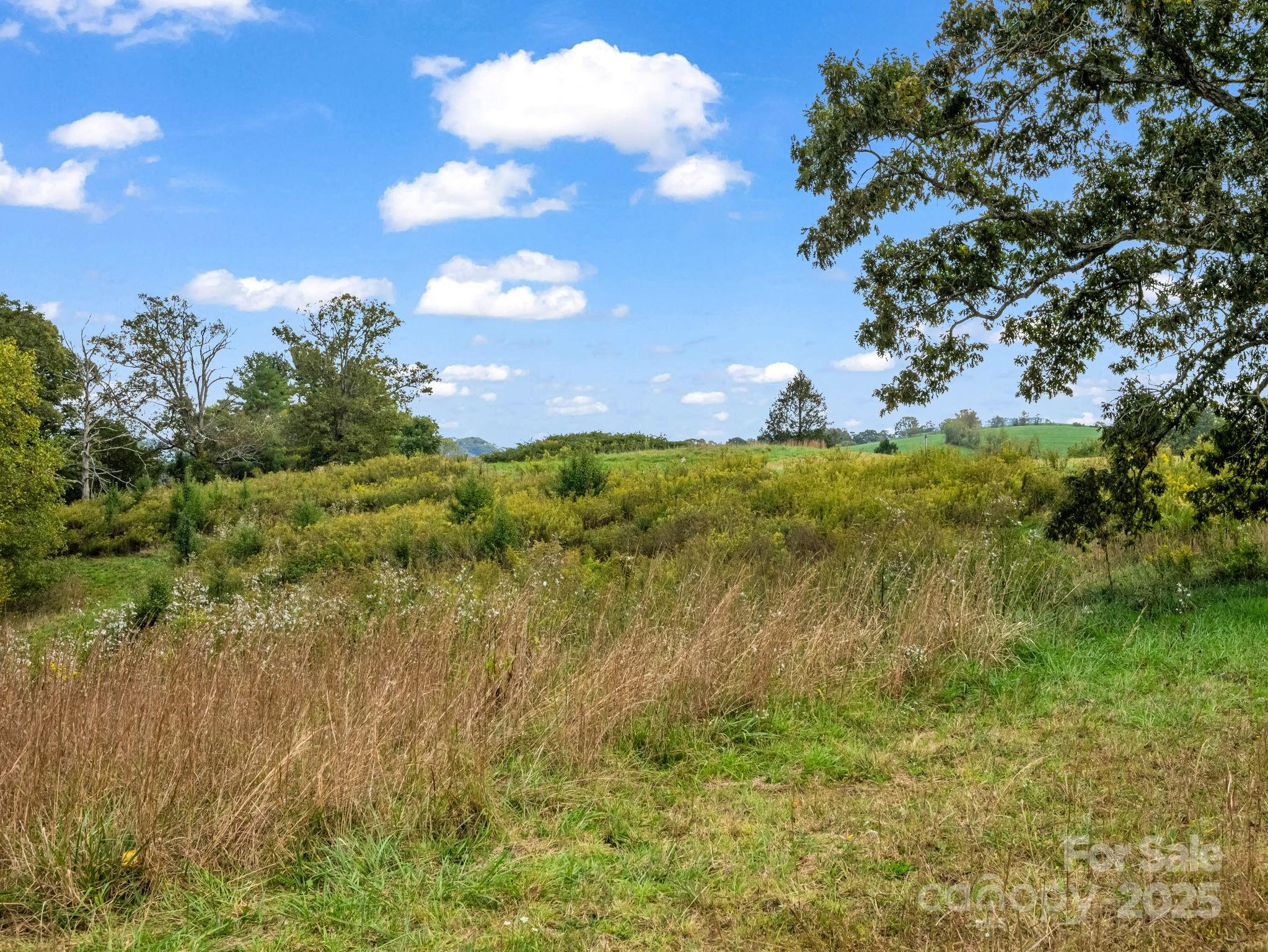 128 Cook Lane Mills River NC 28759