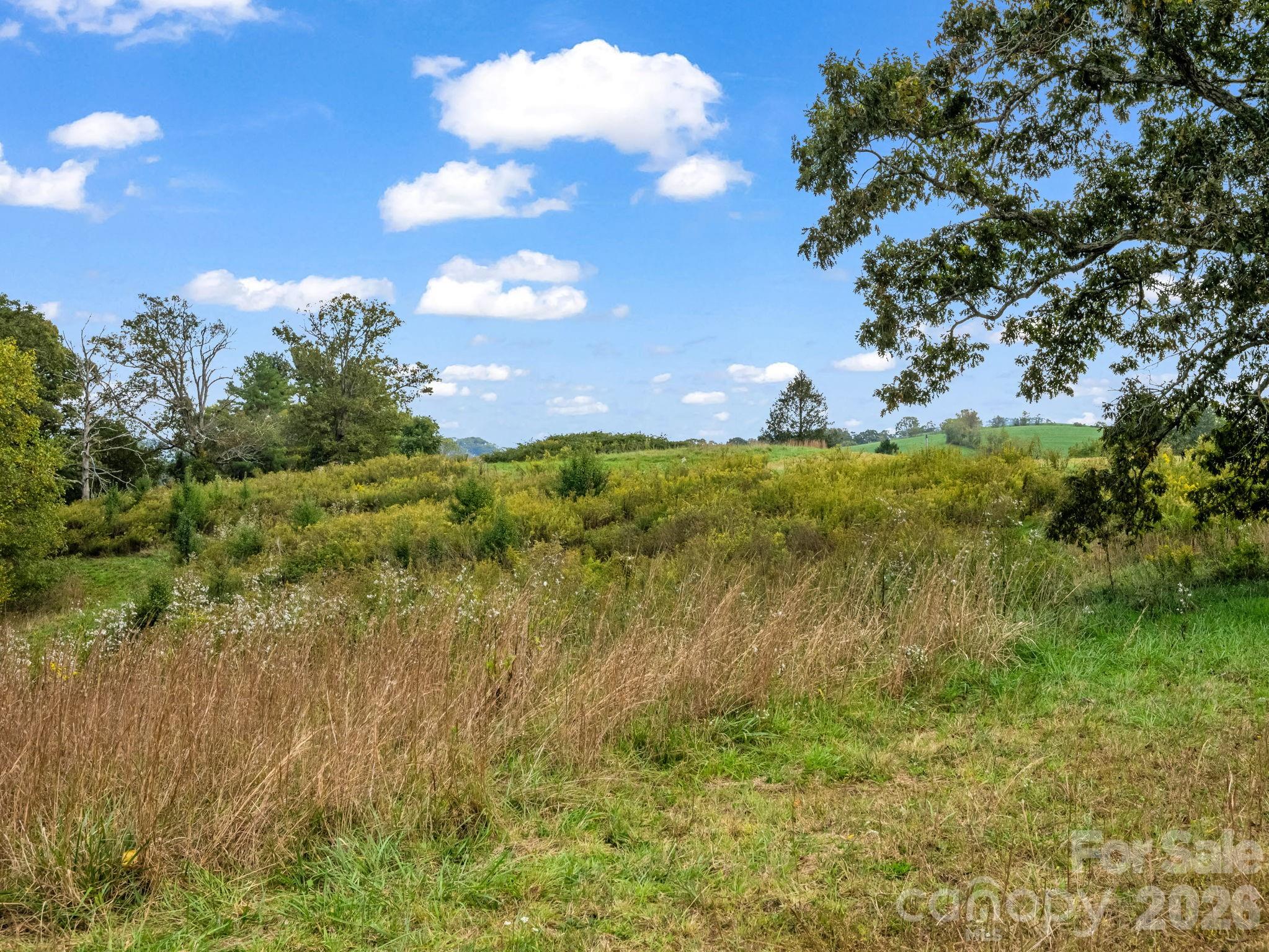 128 Cook Lane Mills River NC 28759