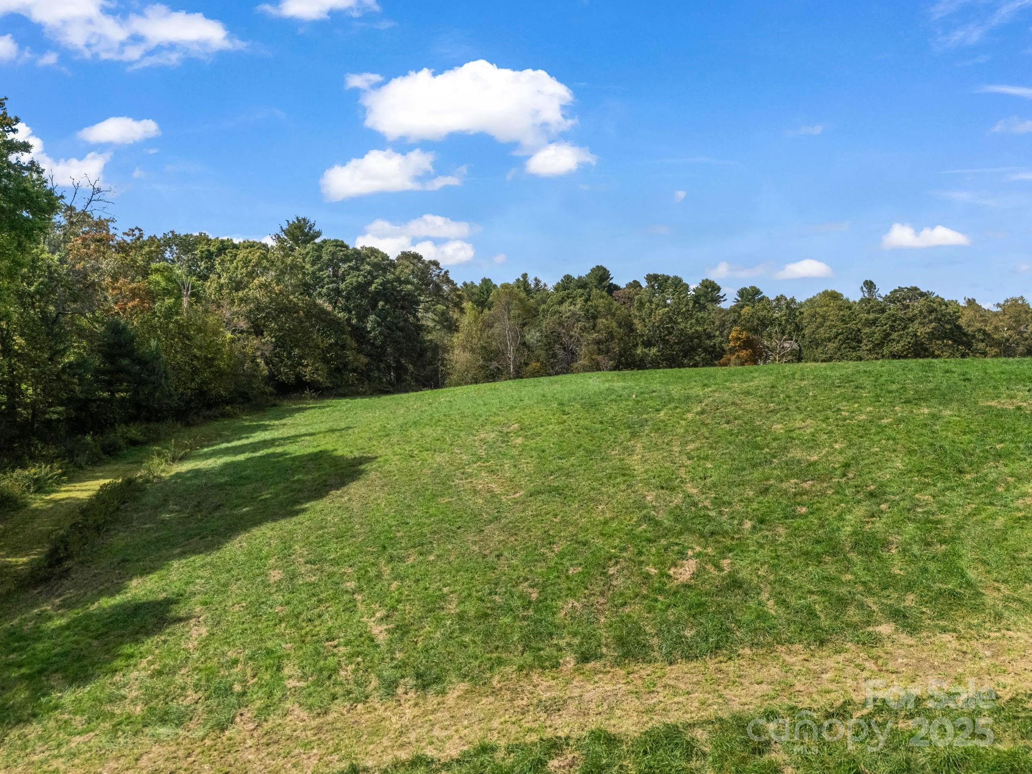 128 Cook Lane Mills River NC 28759