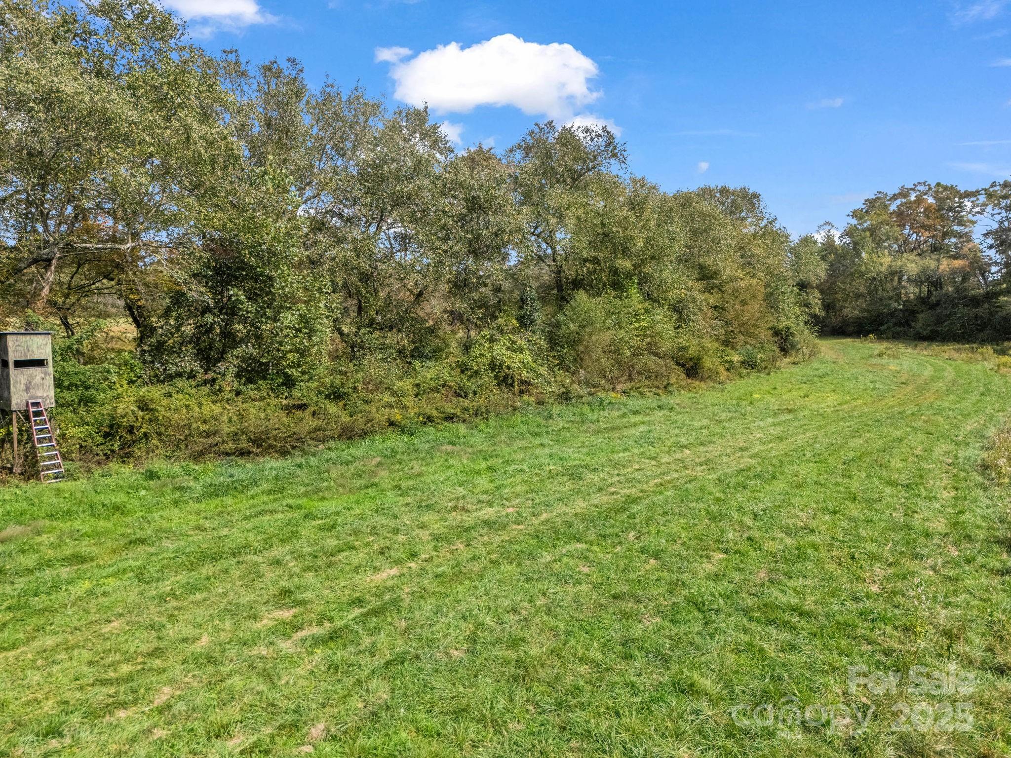 128 Cook Lane Mills River NC 28759