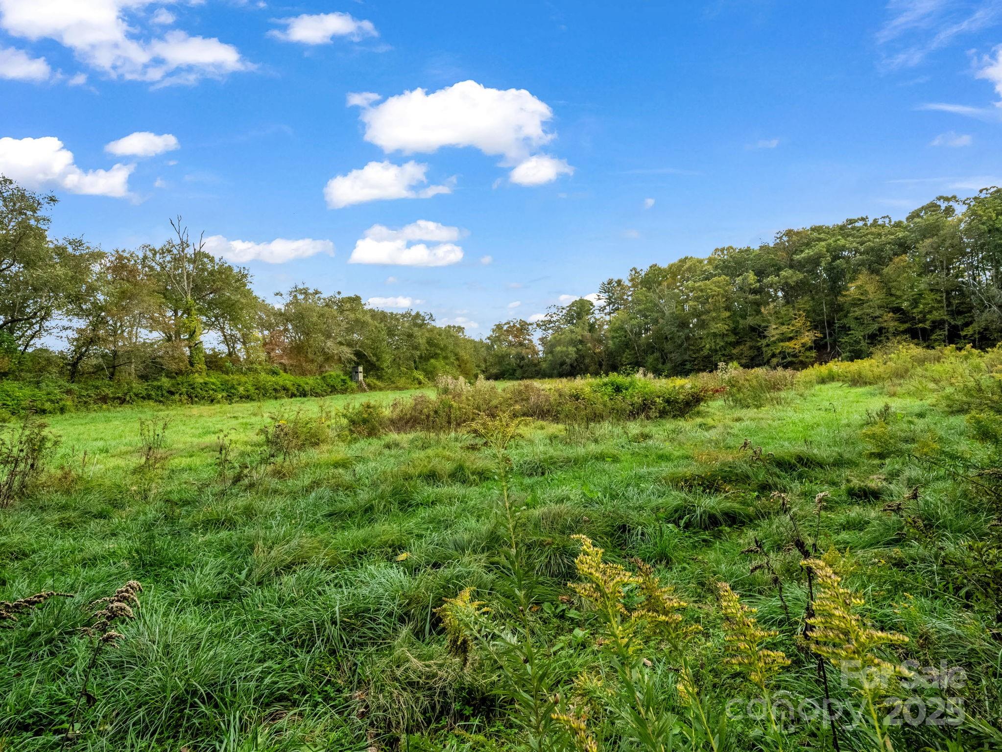 128 Cook Lane Mills River NC 28759