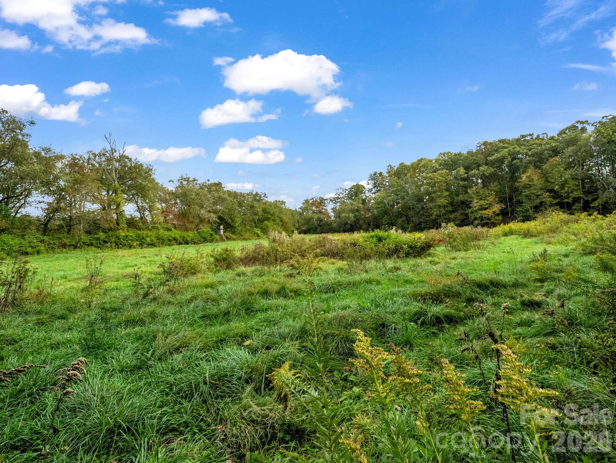 128 Cook Lane Mills River NC 28759