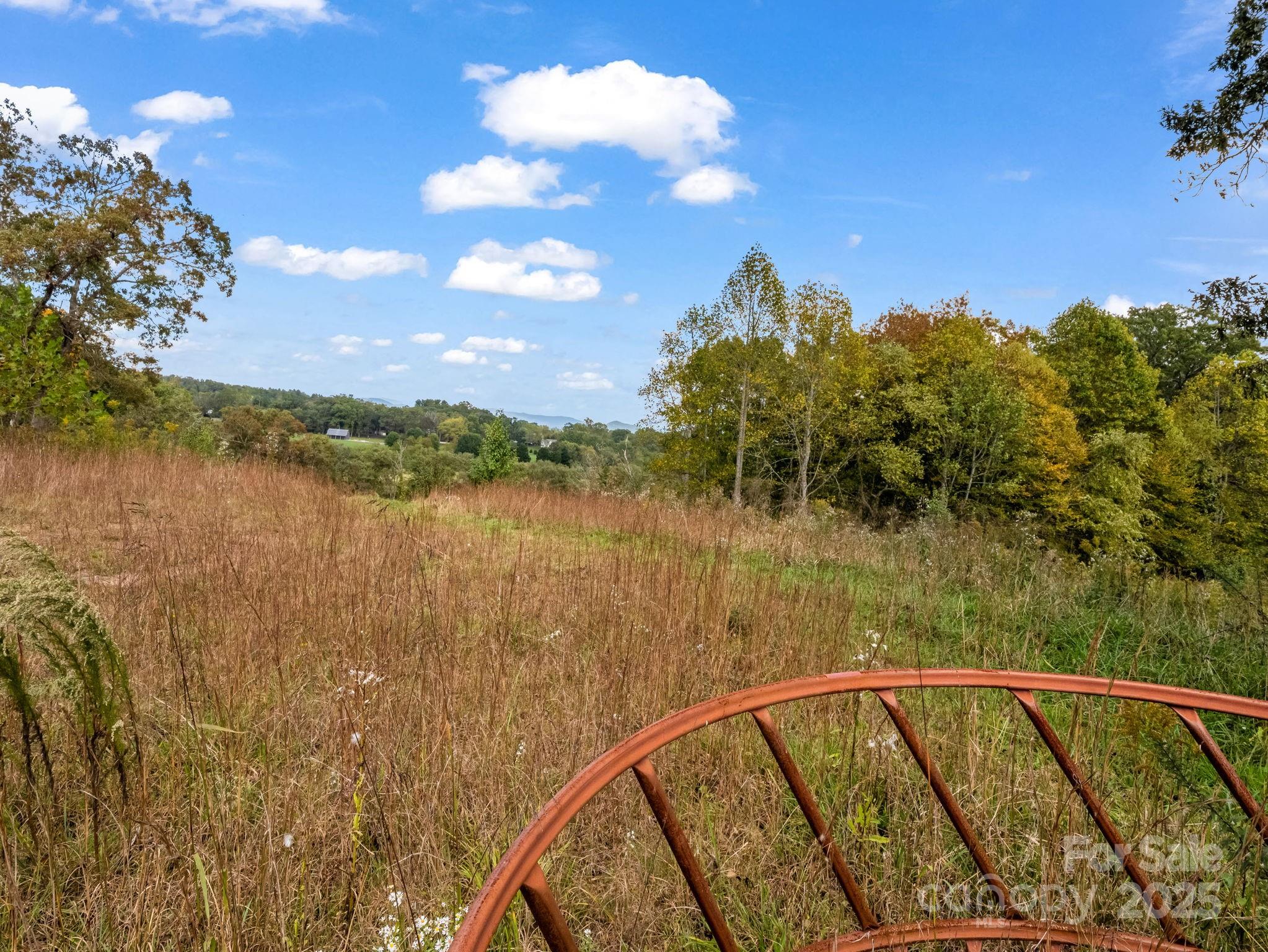 128 Cook Lane Mills River NC 28759