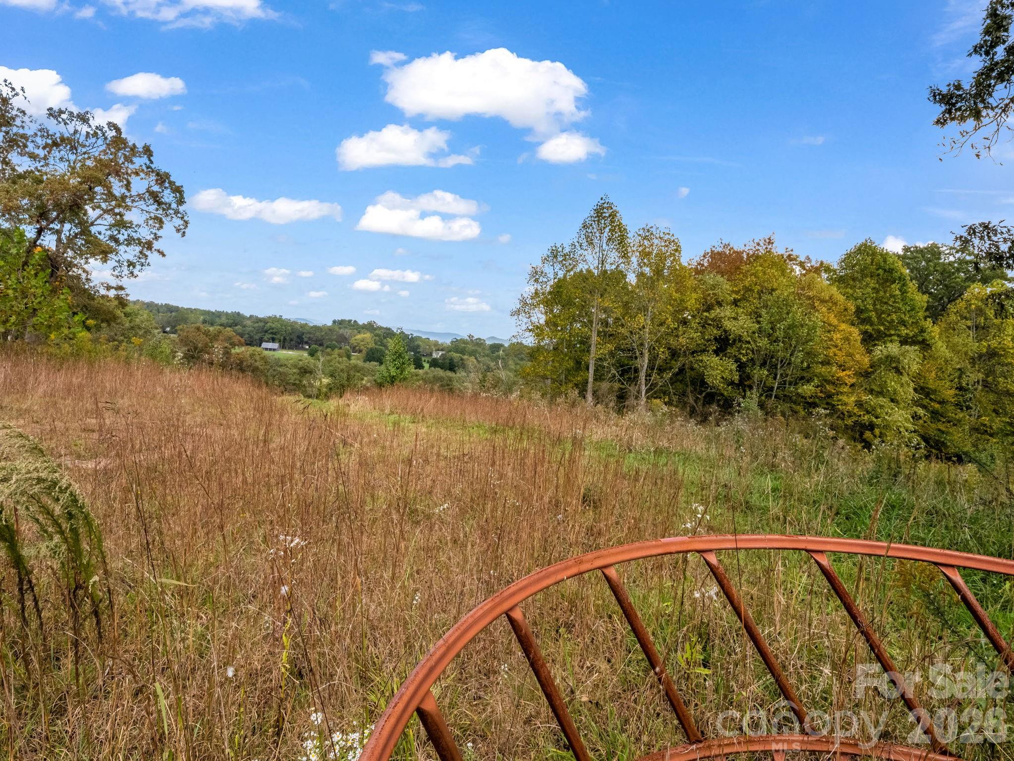 128 Cook Lane Mills River NC 28759