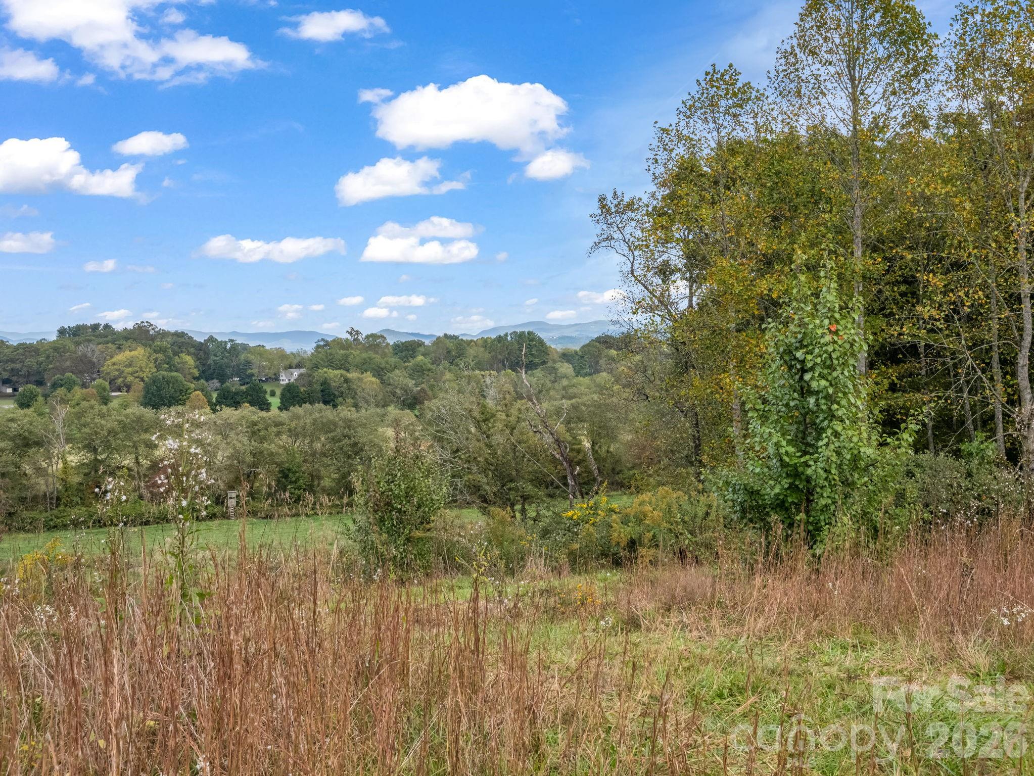 128 Cook Lane Mills River NC 28759
