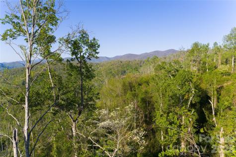 99999 Elk Mountain Scenic Highway Asheville NC 28804