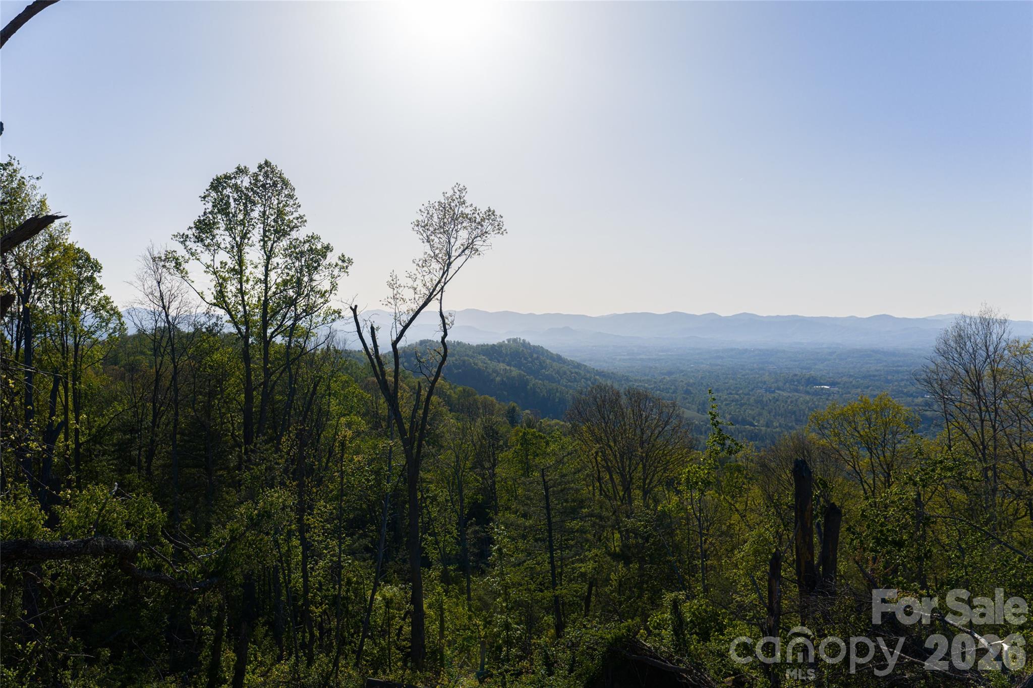 99999 Elk Mountain Scenic Highway Asheville NC 28804