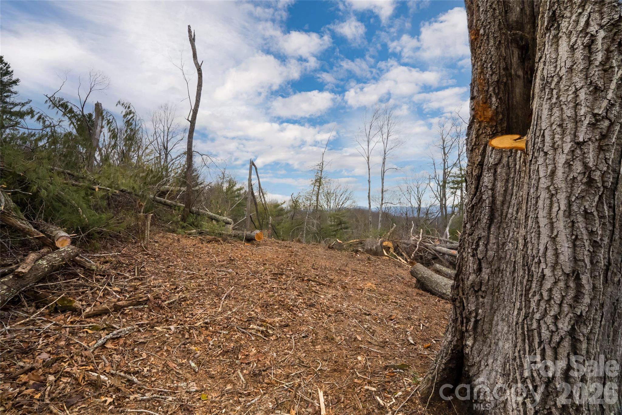 99999 Elk Mountain Scenic Highway Asheville NC 28804