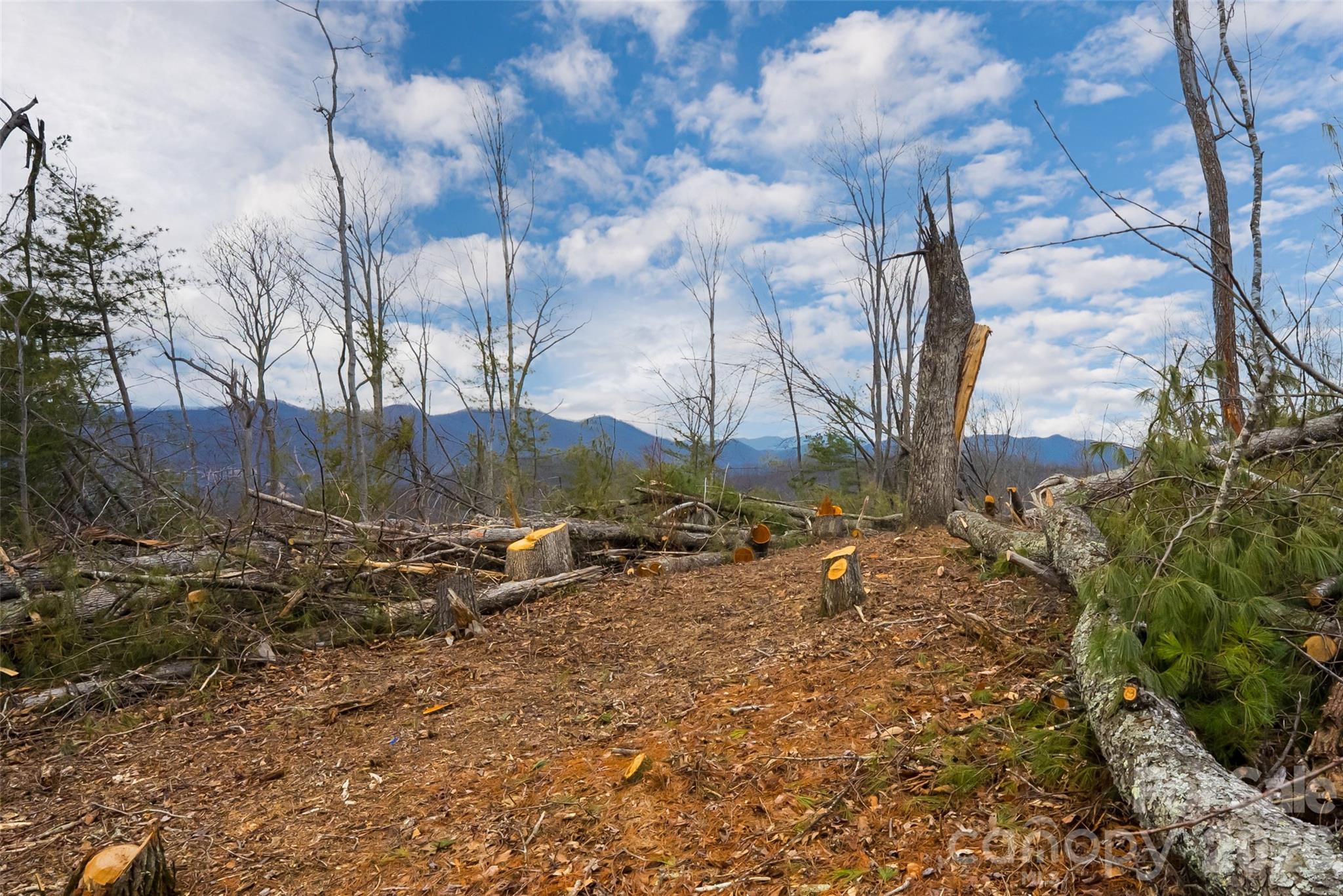 99999 Elk Mountain Scenic Highway Asheville NC 28804
