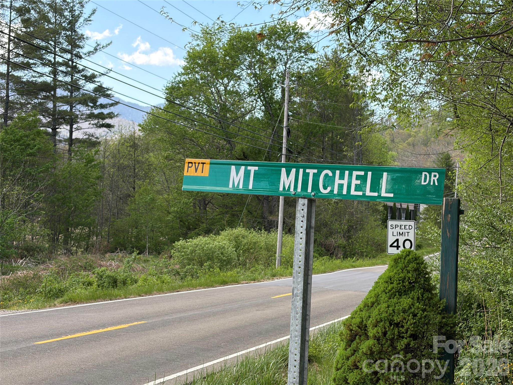 000 Mount Mitchell Drive Burnsville NC 28714