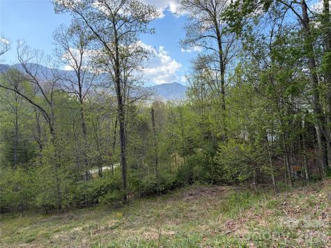 000 Mount Mitchell Drive Burnsville NC 28714