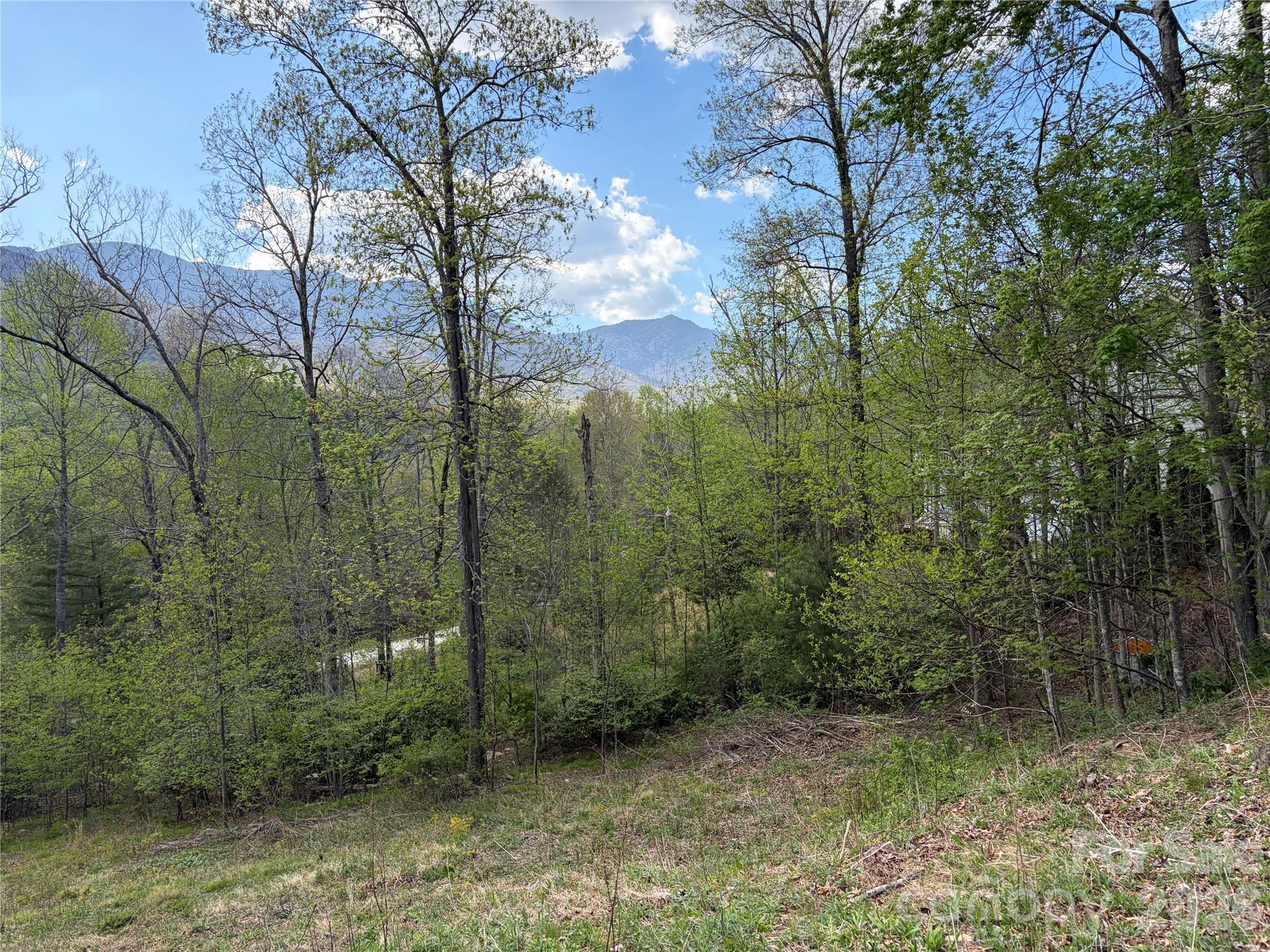 000 Mount Mitchell Drive Burnsville NC 28714