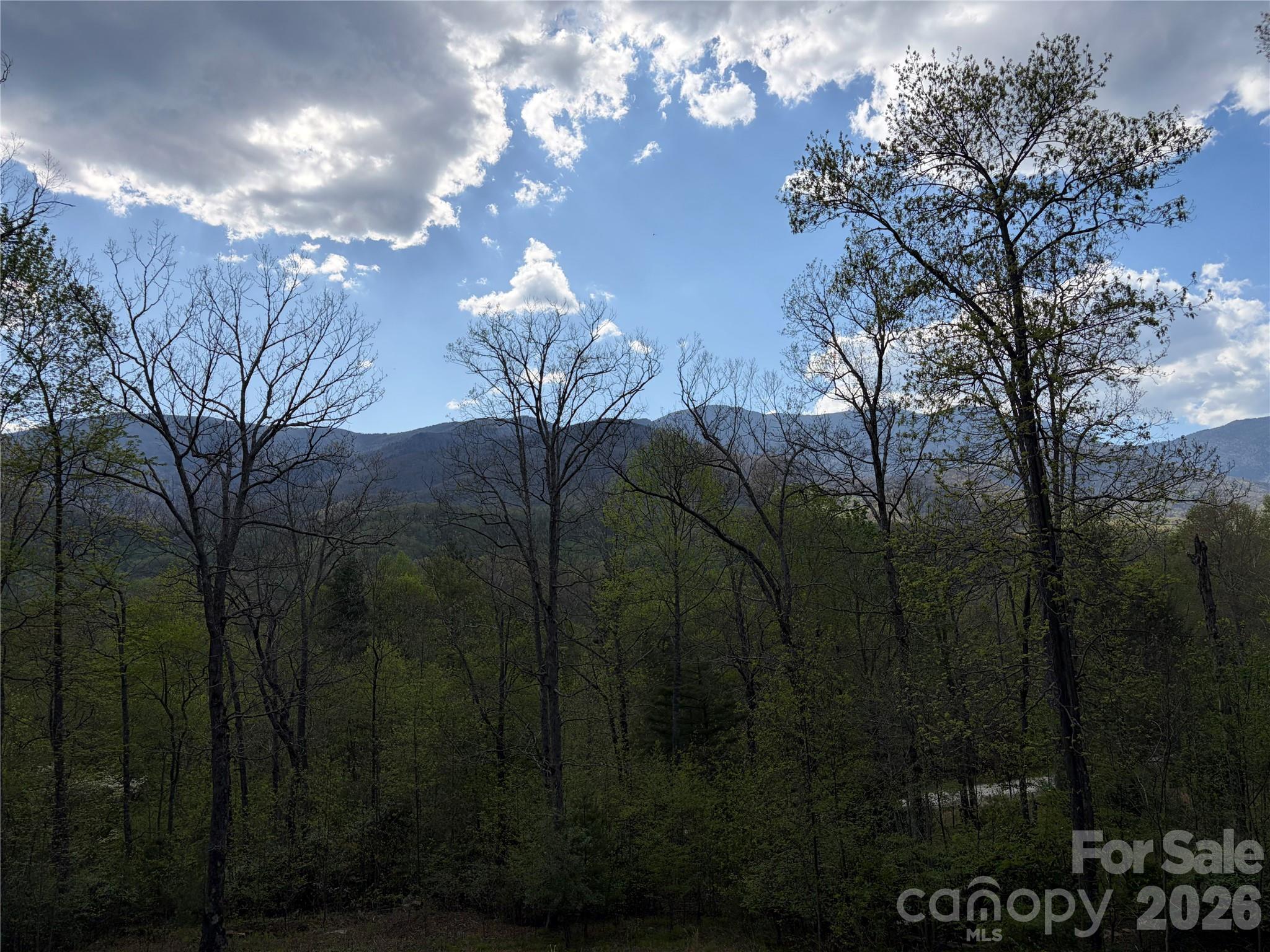000 Mount Mitchell Drive Burnsville NC 28714
