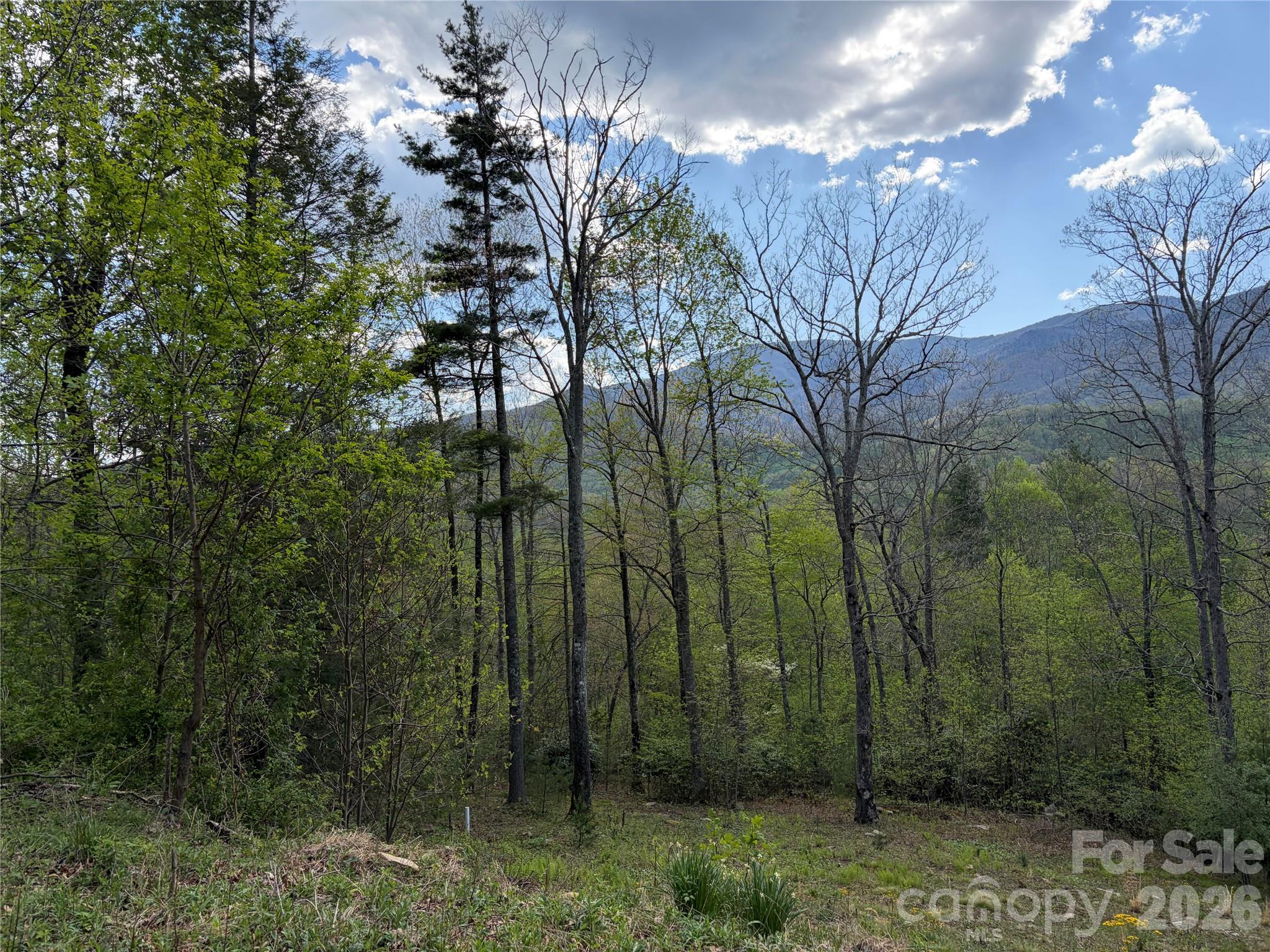 000 Mount Mitchell Drive Burnsville NC 28714