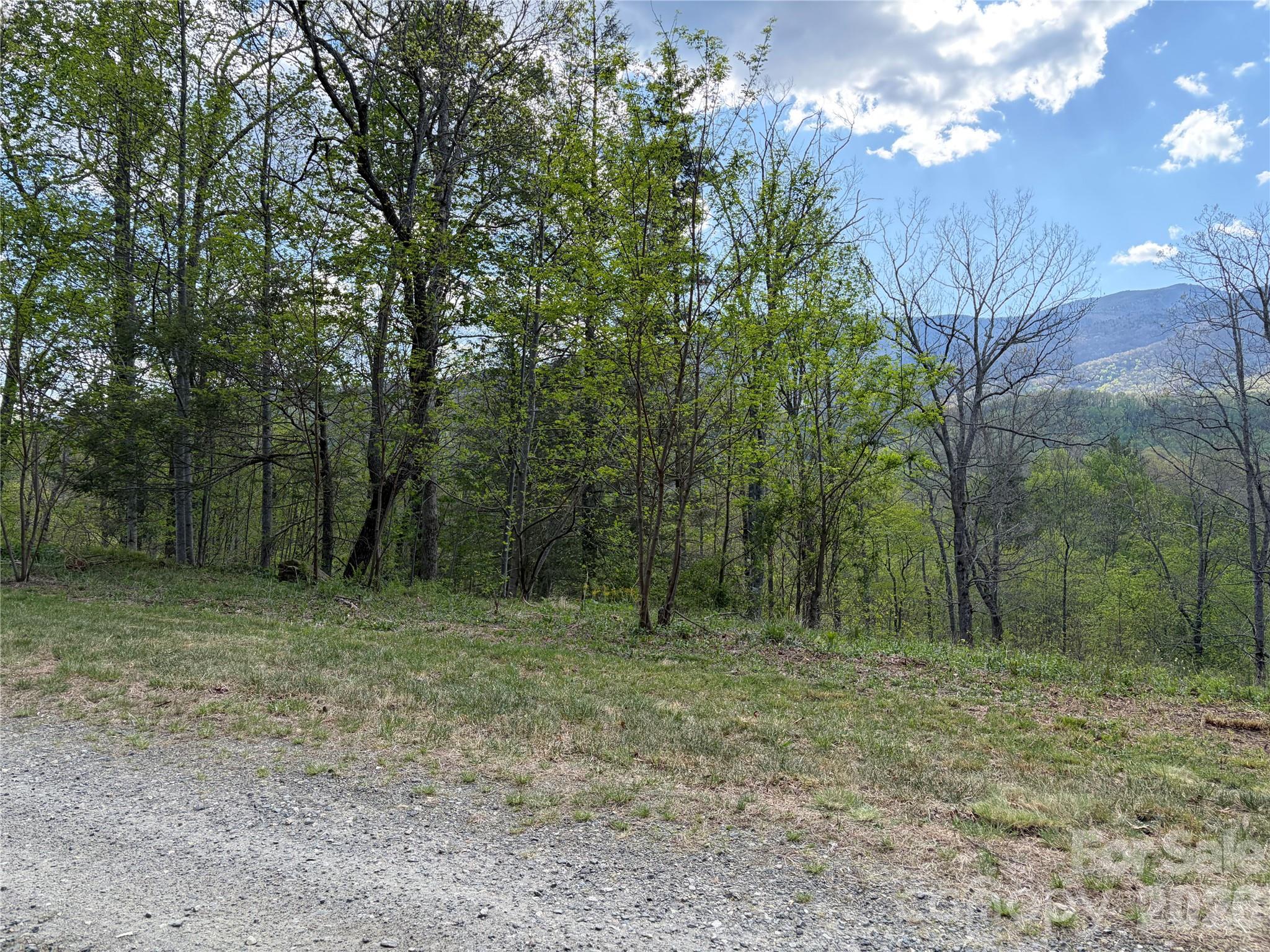 000 Mount Mitchell Drive Burnsville NC 28714