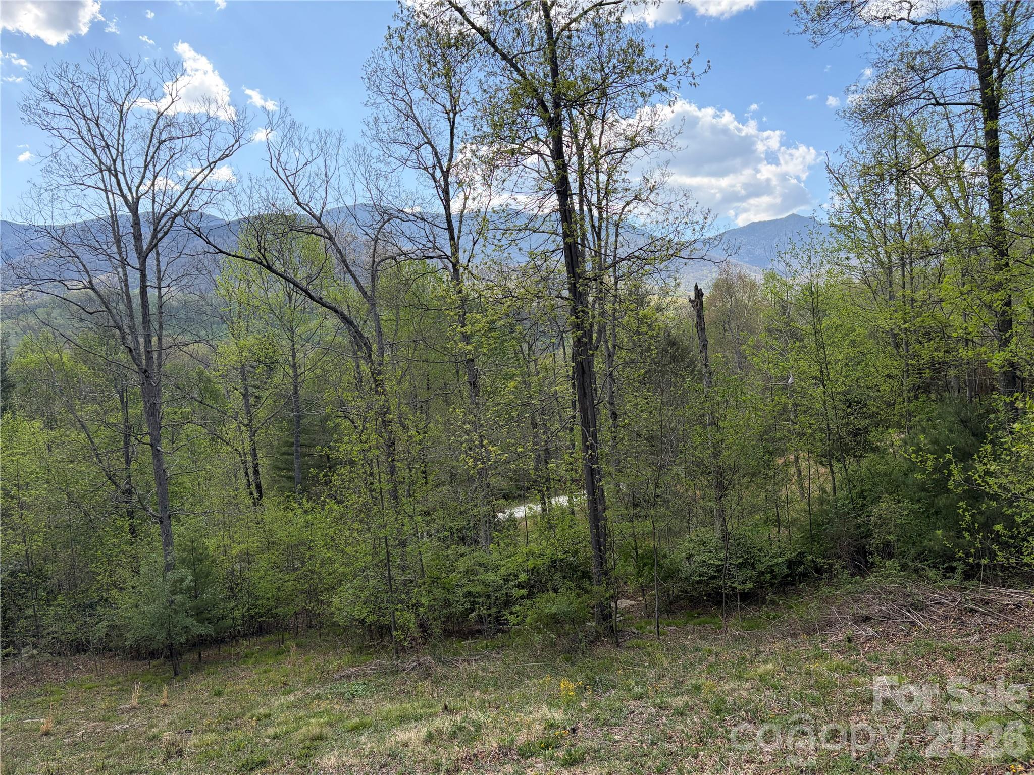 000 Mount Mitchell Drive Burnsville NC 28714