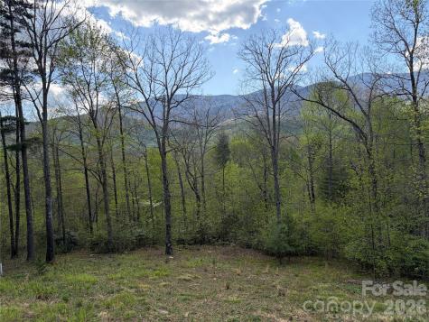 000 Mount Mitchell Drive Burnsville NC 28714