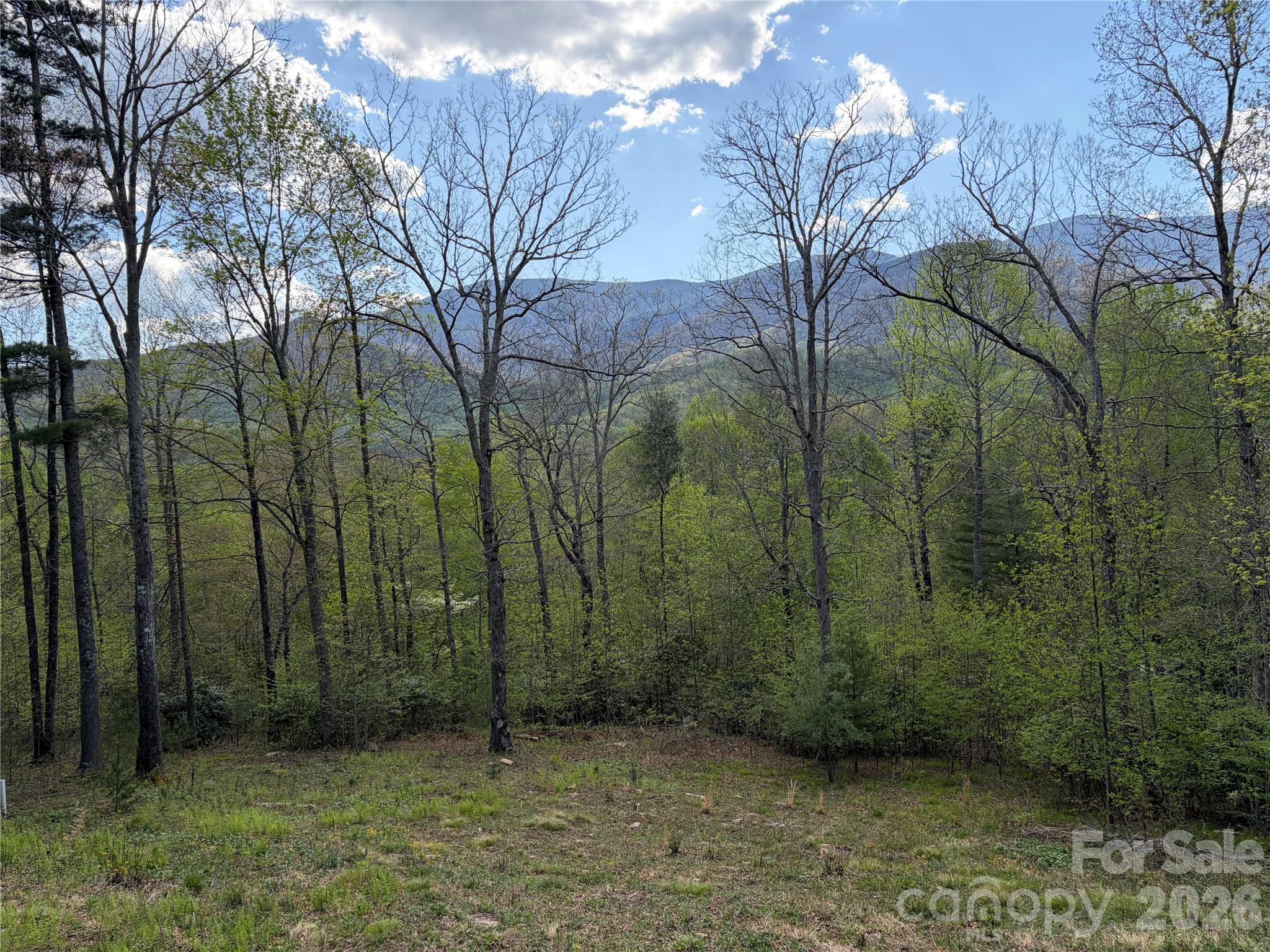 000 Mount Mitchell Drive Burnsville NC 28714