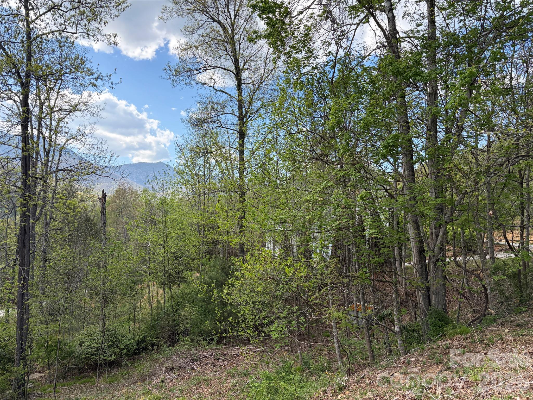 000 Mount Mitchell Drive Burnsville NC 28714