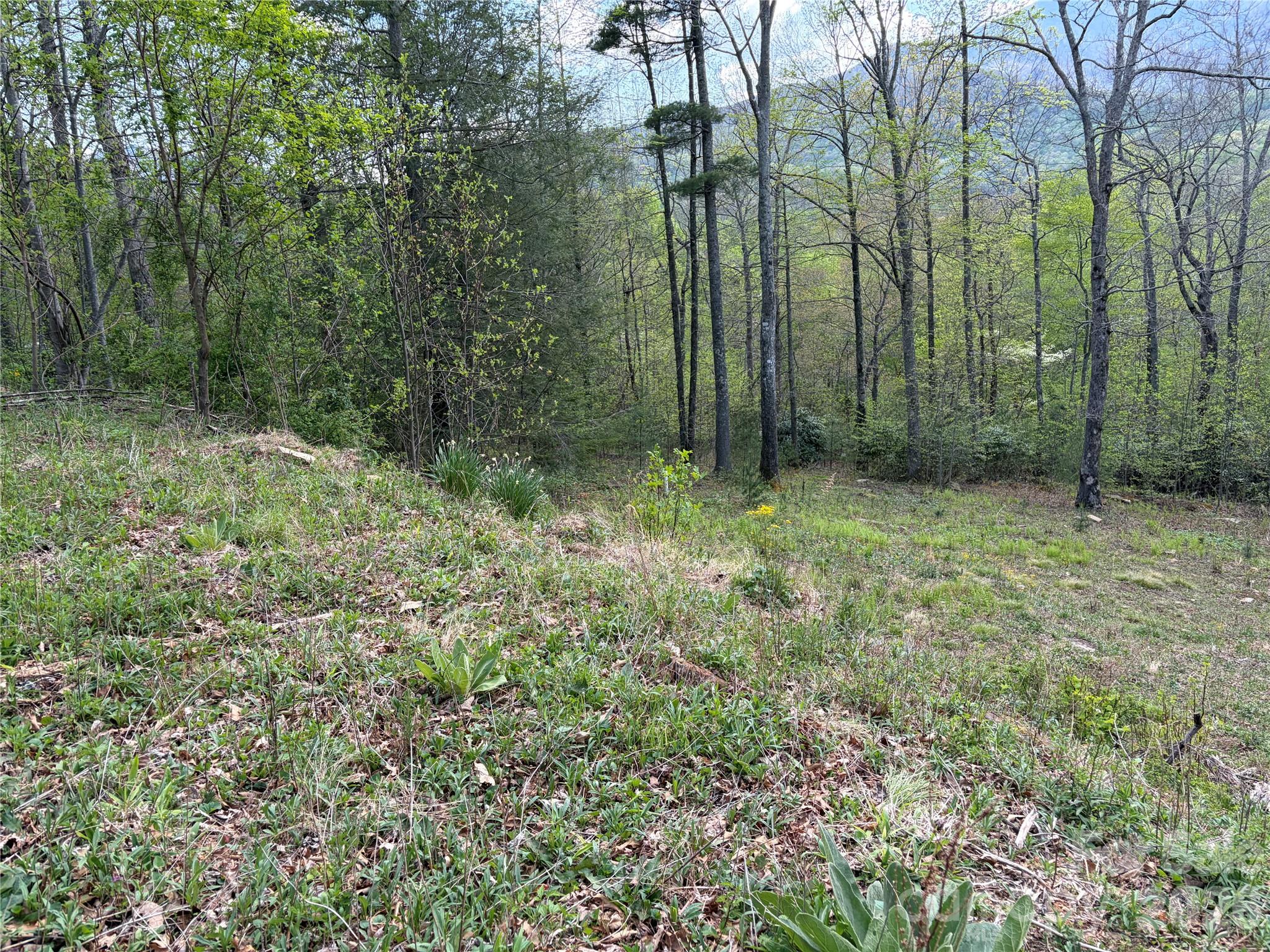 000 Mount Mitchell Drive Burnsville NC 28714