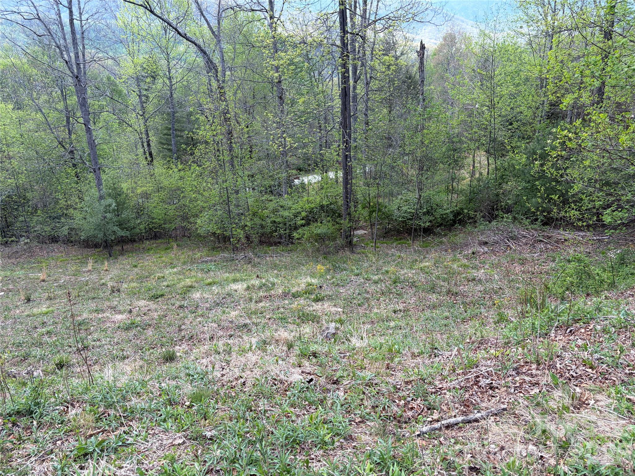 000 Mount Mitchell Drive Burnsville NC 28714