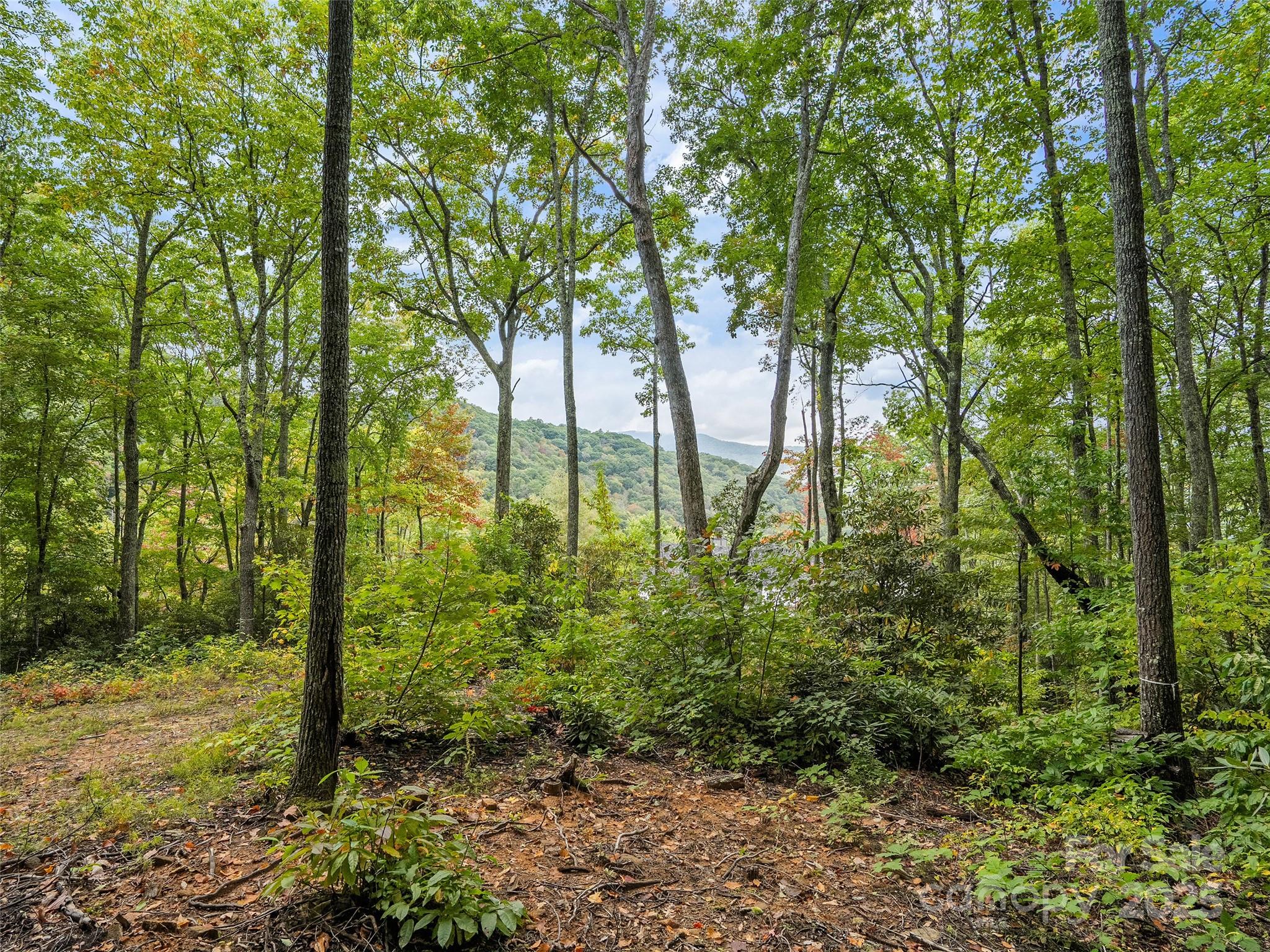 621 Macallan Drive Waynesville NC 28786