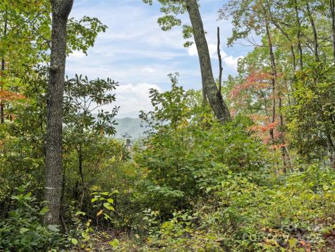 621 Macallan Drive Waynesville NC 28786