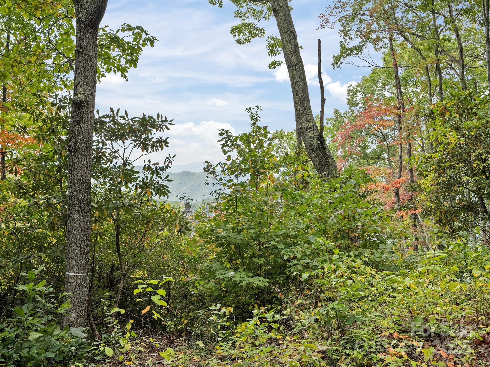 621 Macallan Drive Waynesville NC 28786