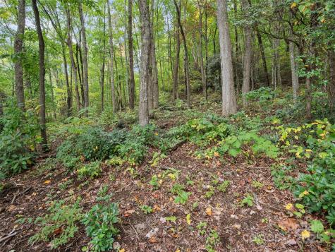 621 Macallan Drive Waynesville NC 28786