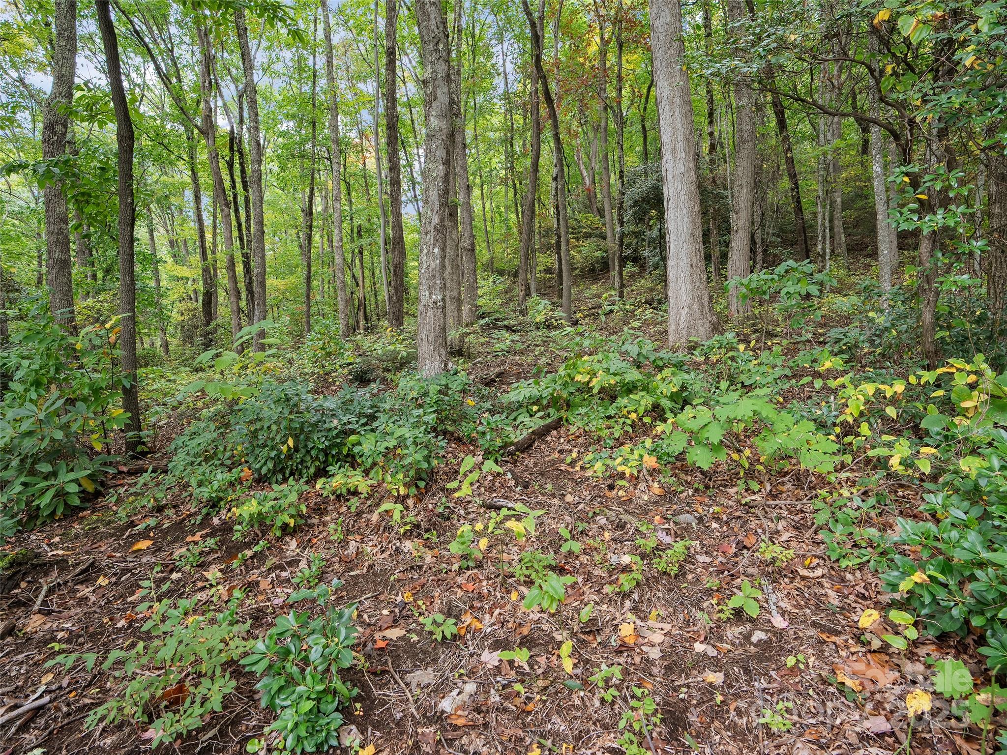 621 Macallan Drive Waynesville NC 28786
