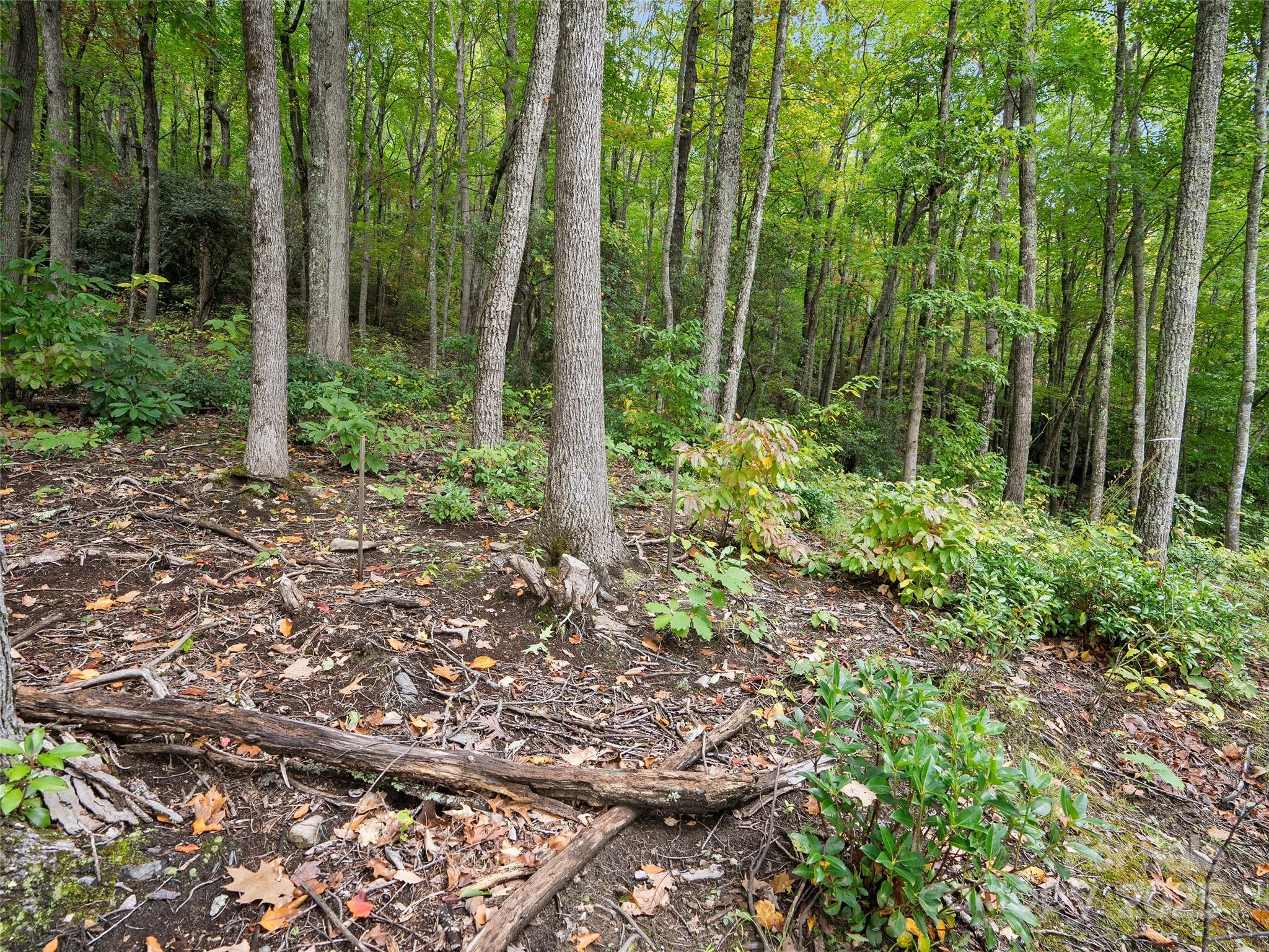 621 Macallan Drive Waynesville NC 28786