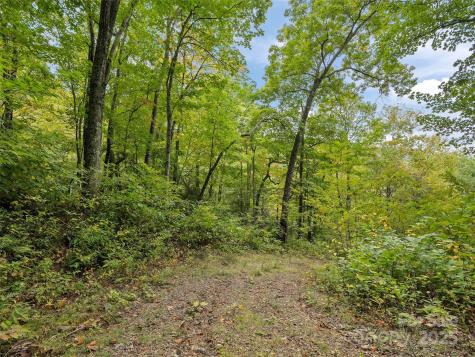 621 Macallan Drive Waynesville NC 28786