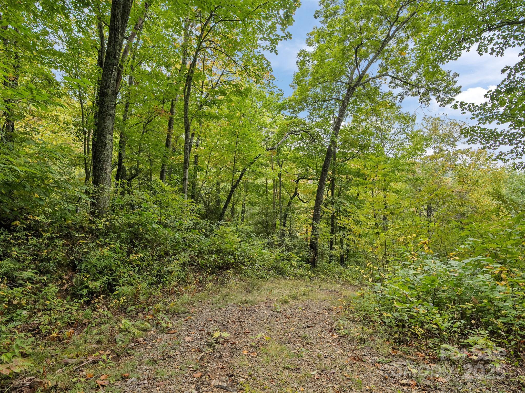 621 Macallan Drive Waynesville NC 28786
