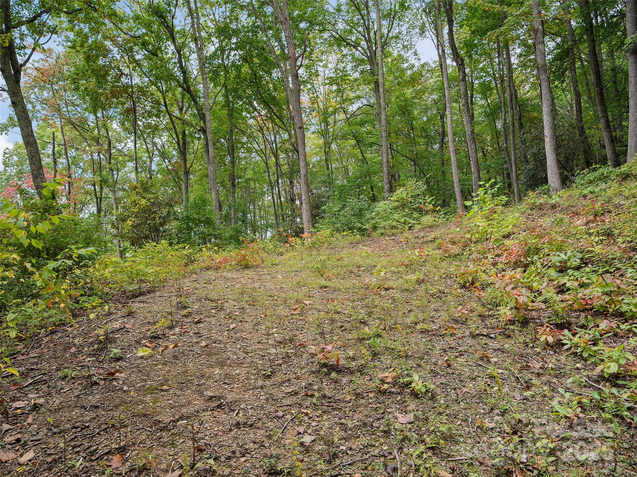 621 Macallan Drive Waynesville NC 28786