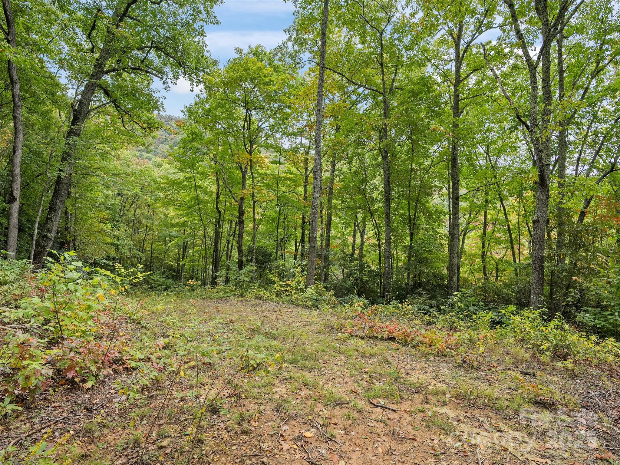 621 Macallan Drive Waynesville NC 28786