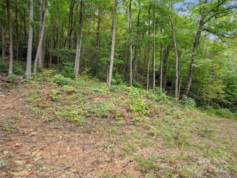 621 Macallan Drive Waynesville NC 28786
