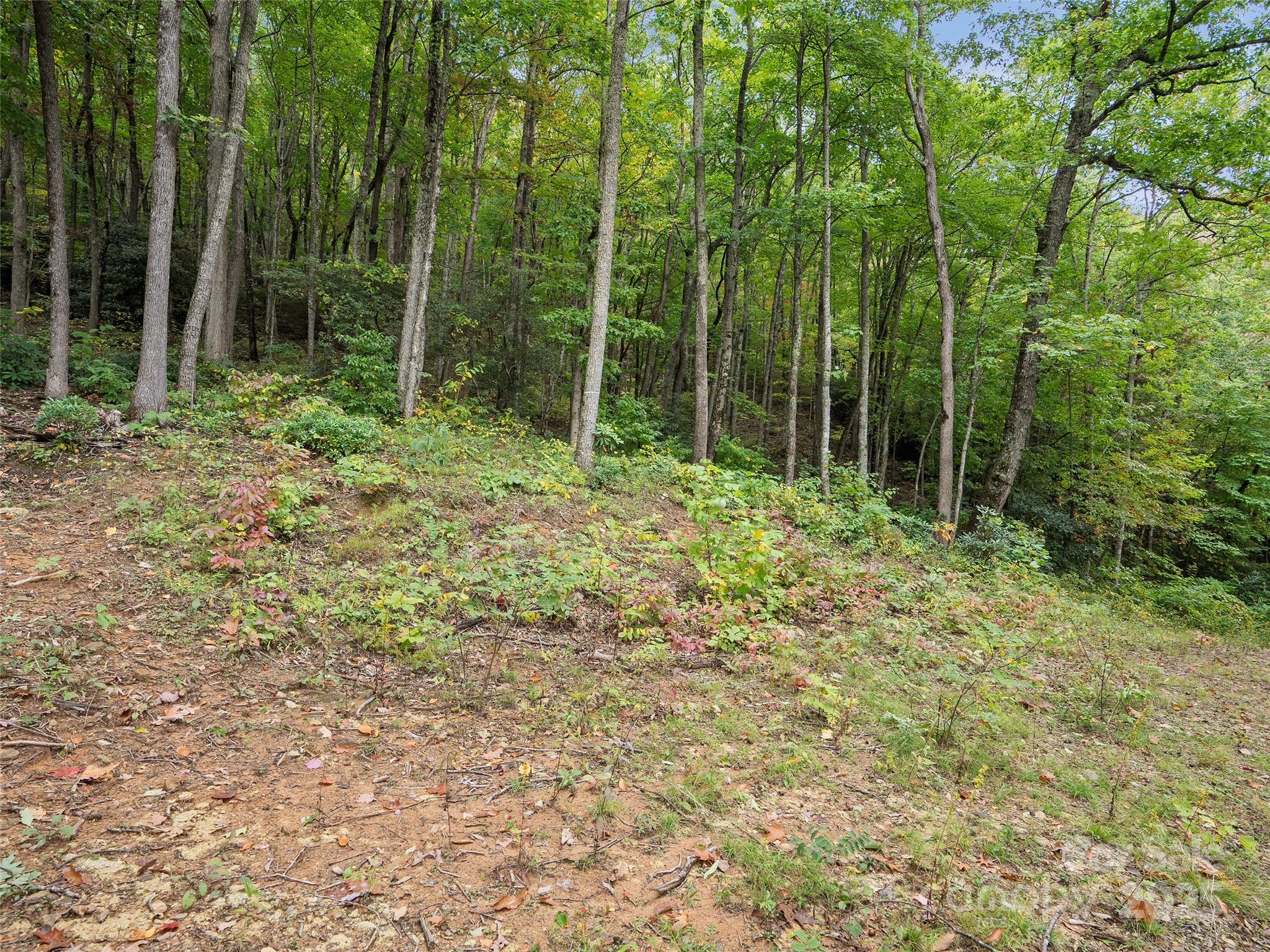 621 Macallan Drive Waynesville NC 28786