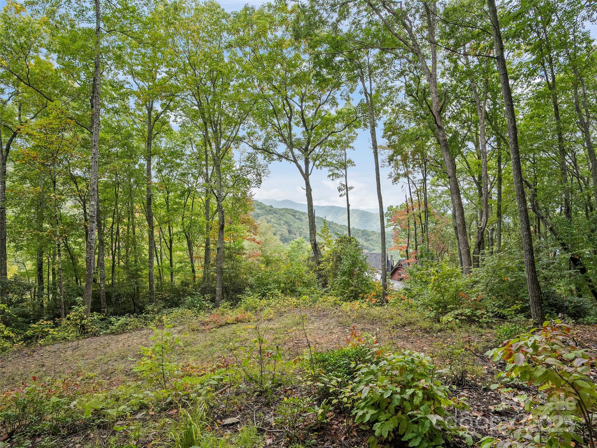 621 Macallan Drive Waynesville NC 28786