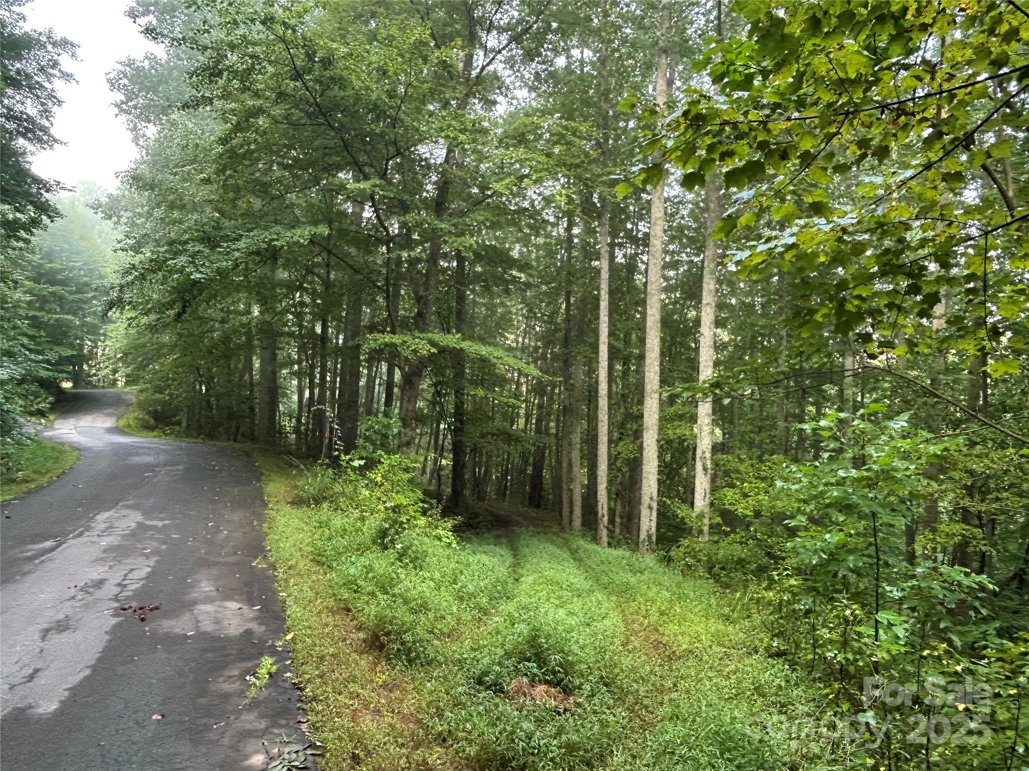 100 S Lindon Cove Road Candler NC 28715