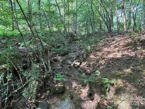100 S Lindon Cove Road Candler NC 28715