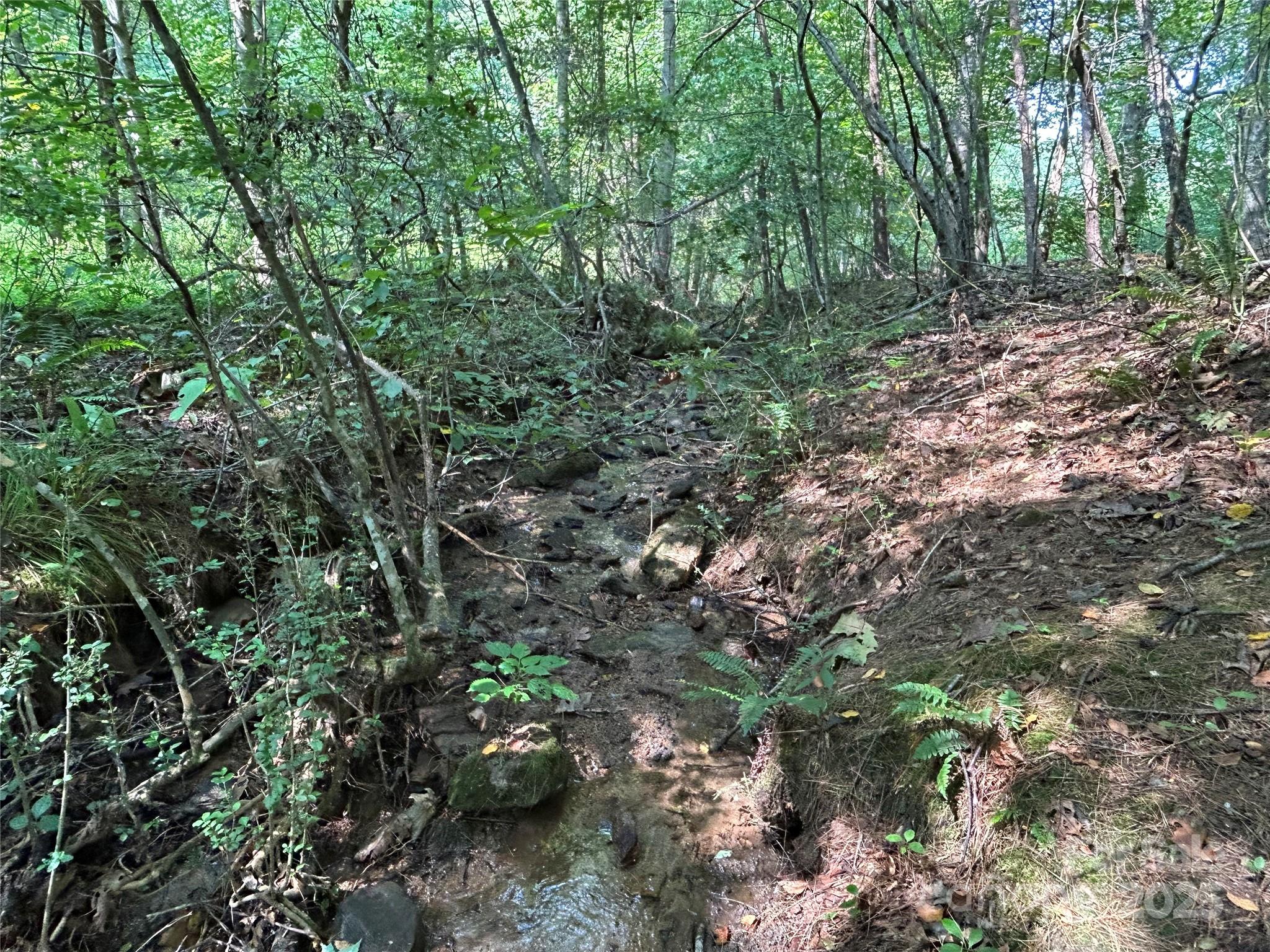100 S Lindon Cove Road Candler NC 28715