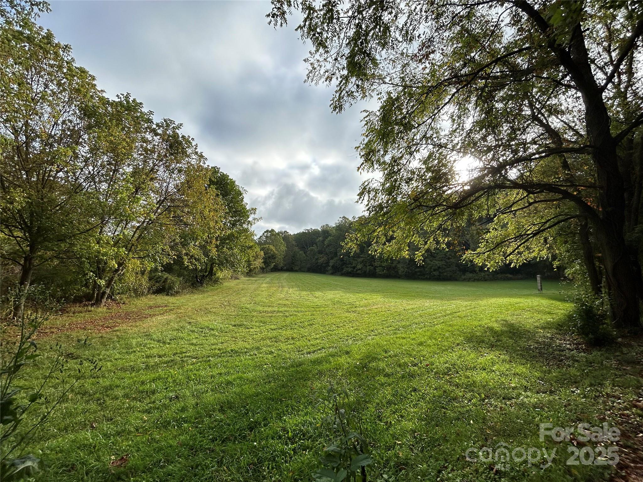100 S Lindon Cove Road Candler NC 28715