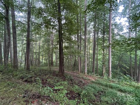 100 S Lindon Cove Road Candler NC 28715