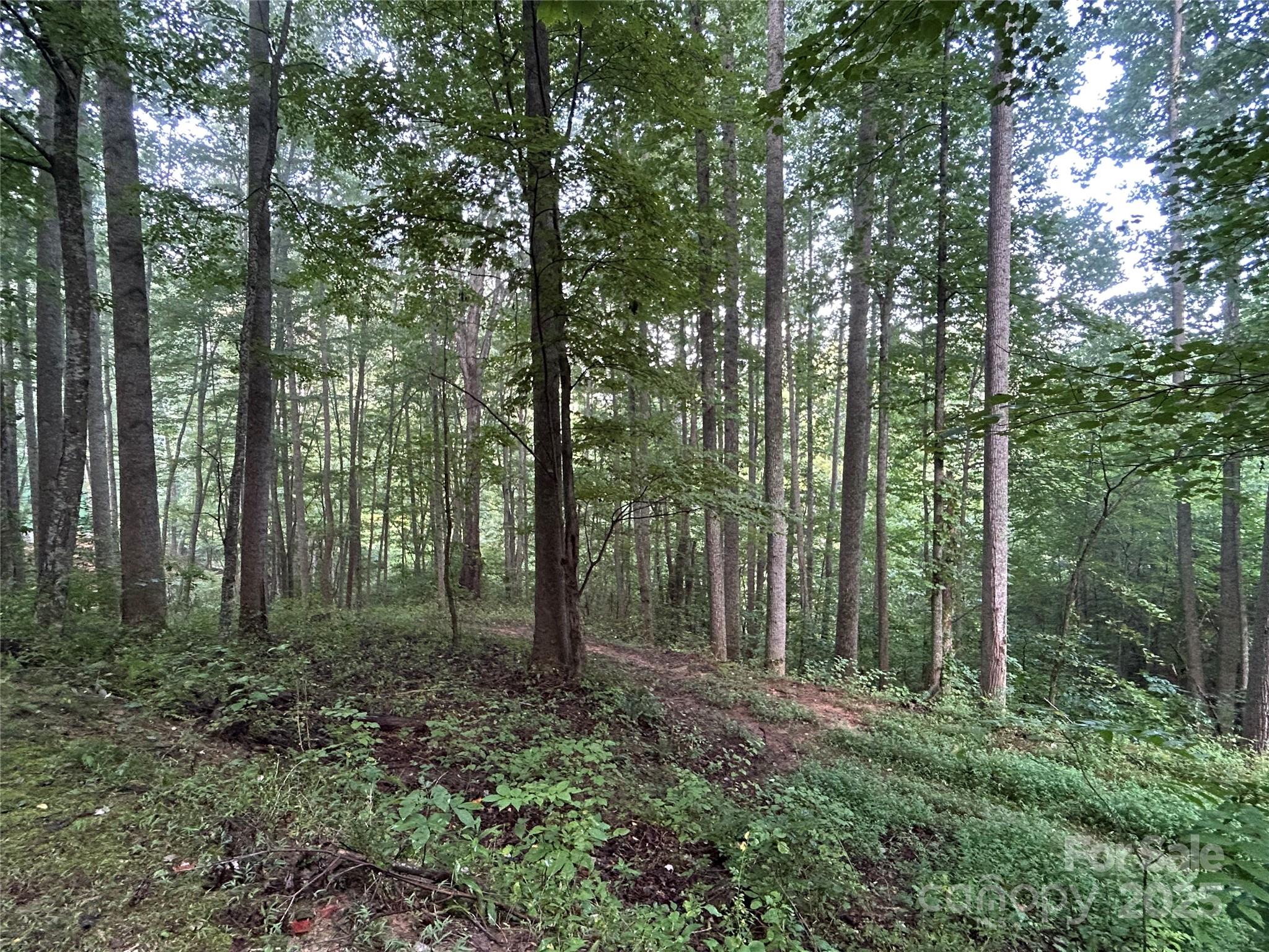 100 S Lindon Cove Road Candler NC 28715