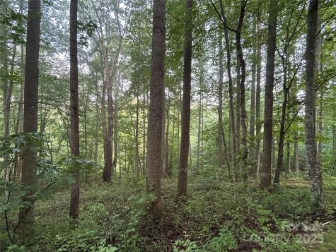 100 S Lindon Cove Road Candler NC 28715
