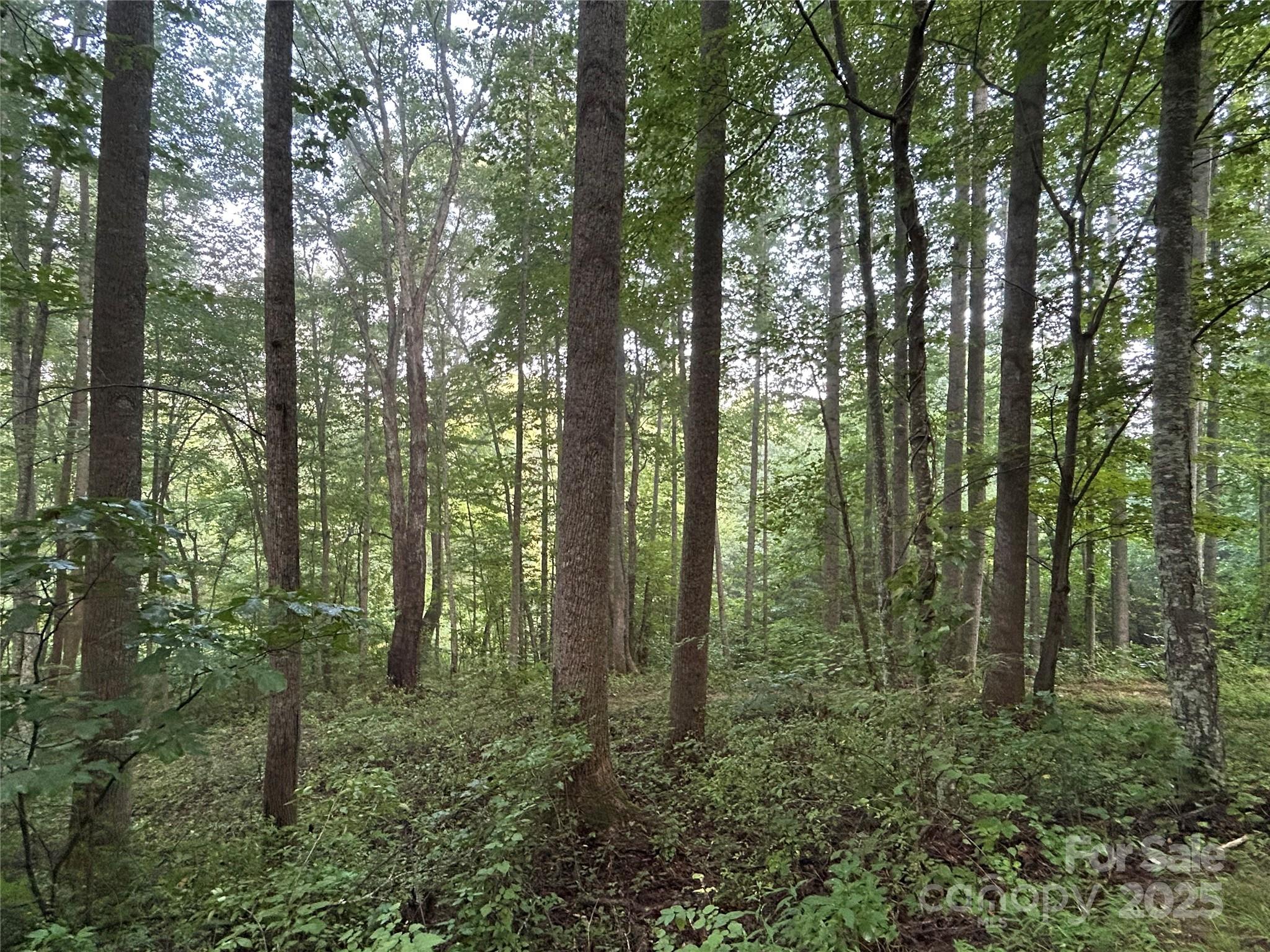 100 S Lindon Cove Road Candler NC 28715