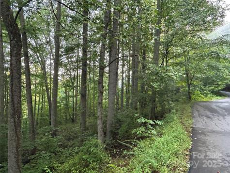 100 S Lindon Cove Road Candler NC 28715
