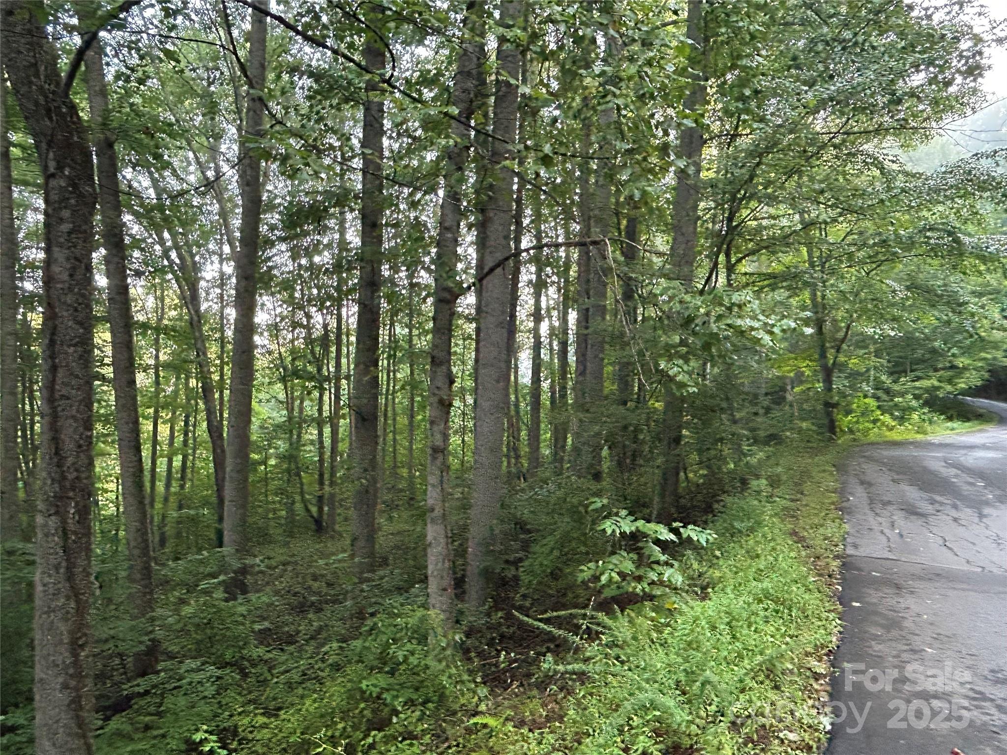 100 S Lindon Cove Road Candler NC 28715